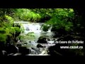Cazare Cotusca Botosani Cazat Ro