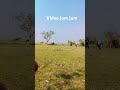 Video Jum Jum Jum