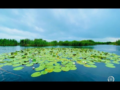Fluviul Dunărea - Lecție de geografie pentru clasele primare