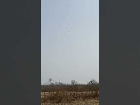 Medina RES Glider Test Flight~