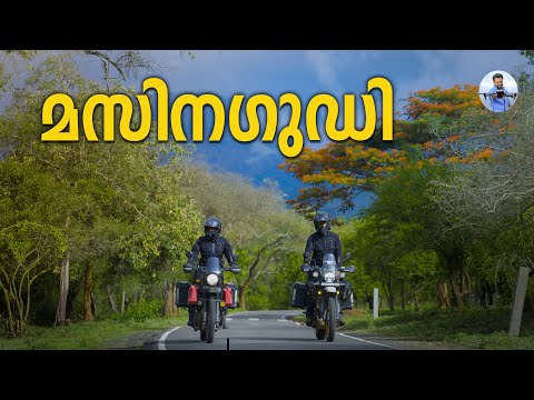 വീണ്ടും Masinagudi വഴി Ooty | Moyar Forest Road!
