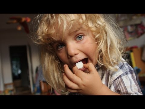 地面に砂糖を入れてもいいですか？植物にとって良いのでしょうか？あなたを驚かせる5つのヒント！  庭園