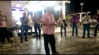 El toro negro en vivo