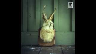 Collettivo Thelonious Monk | Ugly Beauty FULL ALBUM