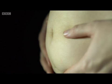 人工光がなぜ太るのか