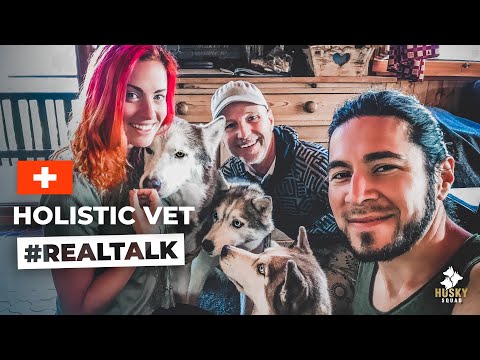 How to Keep Your Dog Healthy — Holistic Vet Guide