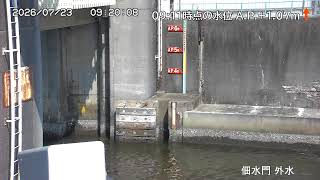 佃水門 外水側