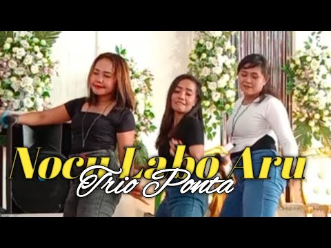 Nocu labo Aru | Cover by Trio Ponta [Nheng Delis Official]