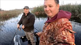 Клев щуки на завтра краснодар