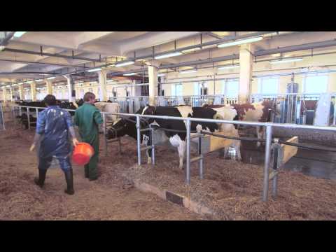 Vetmeduni Vienna: Sichere Lebensmittel - Teil 3 Universitas