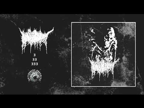 Vicissitude (New Zealand) - MMXVII