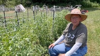 Stop Copying Other Farms (Do This Instead)