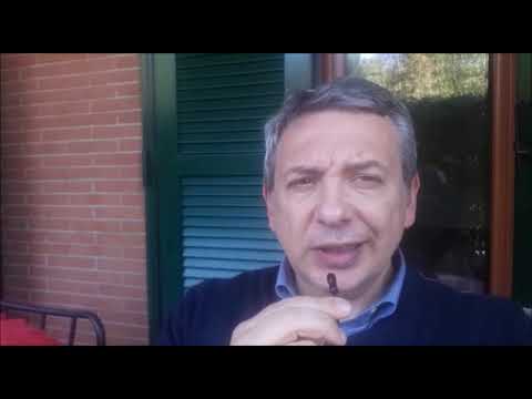 perilli coronavirus eurobond palazz