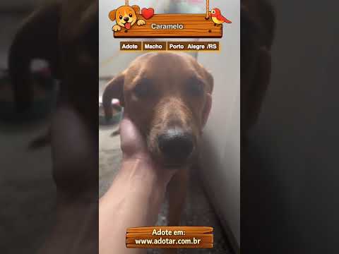Vídeo de Caramelo