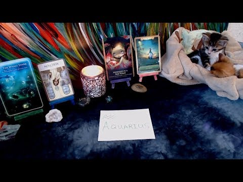 download lagu mp3 mp4 Push Recorrected, download mp3 Push Recorrected free download mp3, download mp3 Push Recorrected