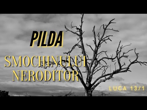 Pilda smochinului neroditor | Luca 13/1 | Ce înseamna cei 3 ani?