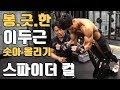이두운동ㅣ봉긋한 이두 솟아 올리는 운동 덤벨 스파이더 컬로 팔 근육(운동)만들기