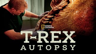 Go Inside a Full Size T-Rex – T-Rex Autopsy Documentary