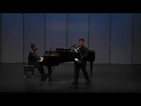 Euphonium Concerto - Vladimir Cosma