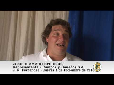 01-12-16 Nota Jose Chamaco Etcheber - Campos y Ganados S.A. - Juan N. Fernandez