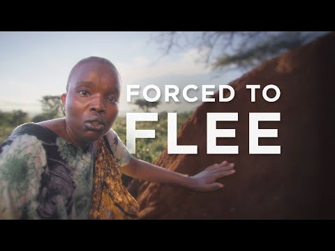 Forced to Flee: A Refugee Journey