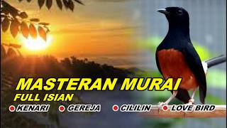 Download lagu 🔴 LIVE 6 - MASTERAN MURAI BATU PAGI HARI FULL ISIAN TEMBAKAN, MELATIH MURAI EMOSI BONGKAR ISIAN mp3 Download lagu 🔴 LIVE 6 - MASTERAN MURAI BATU PAGI HARI FULL ISIAN TEMBAKAN, MELATIH MURAI EMOSI BONGKAR ISIAN mp3