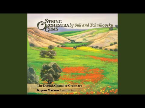 Serenade in E-Flat Major, Op. 6: I. Andante con moto