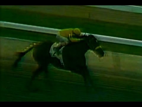 VERSET'S DANCER - Clásico Del Caribe - Transmisión TV 1983