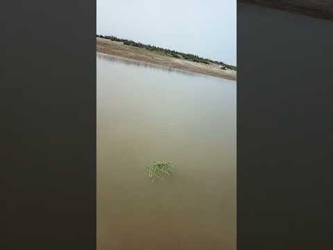 beauty of River water|The Quran yamina