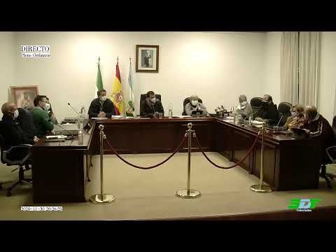 2020-11-30_Pleno ordinario en Directo