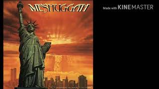 Meshuggah - Abnegating Cecity