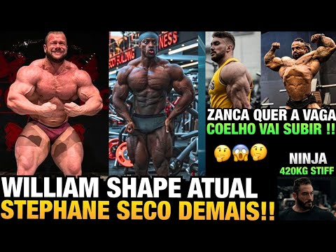 WILLIAM MARTINS ESTÁ ABSURDO - STEPHANE MUITO SECO E ESTÉTICO - COELHO EM PORTUGAL + ZANCANELLI