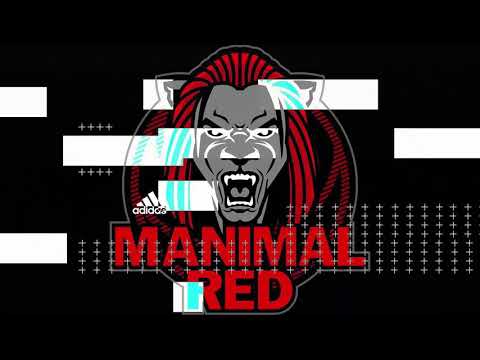 Manimal Basketball Training Louisville