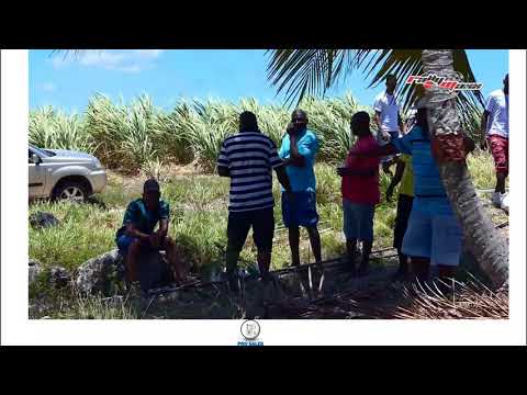 MCBI Full Throttle 2018