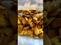 Plum Seed Stratification Part 1 Seeds Plantcare Fruitgarden