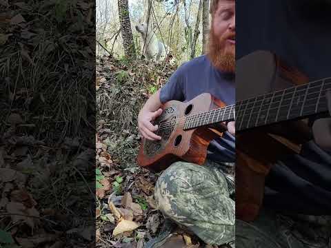 “Cobwebs & Cocaine”. Watch the full set from the woods on my channel. #acoustic #newmusic