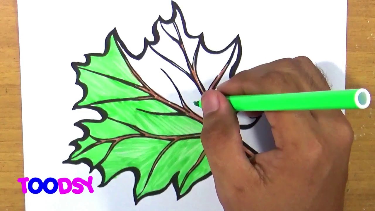 How to Color Maple Autumn Leaf Coloring Page