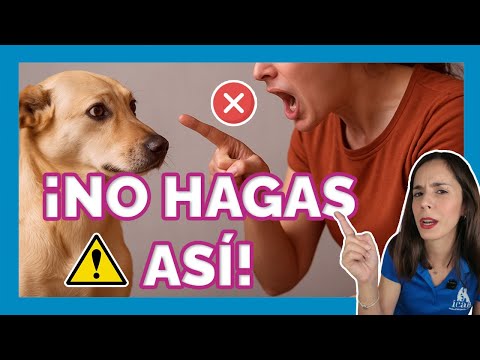 HOW TO CORRECT your DOG🐶 WITHOUT traumatizing him🚀 | Methods that DO work