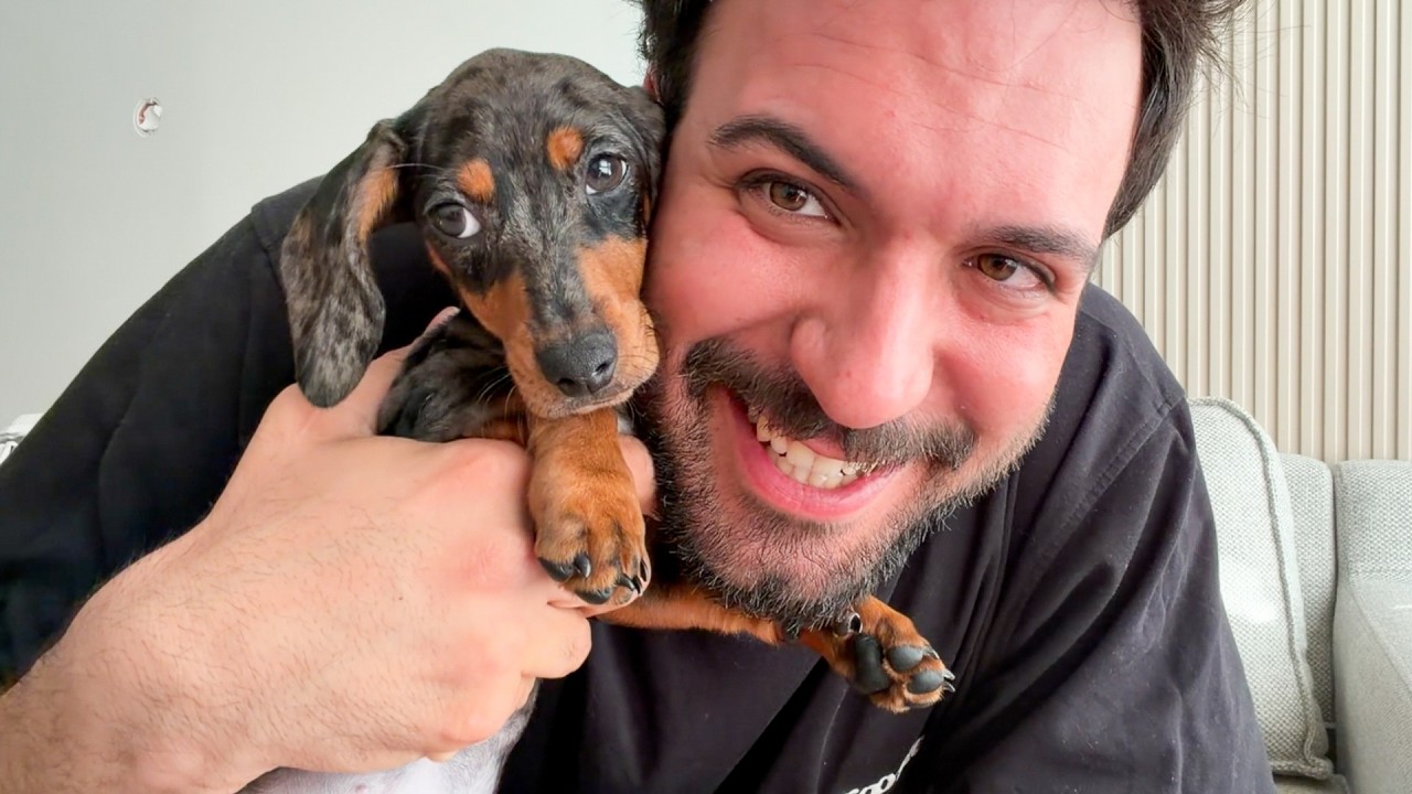 SOSİS KÖPEK SAHİPLENDİM!