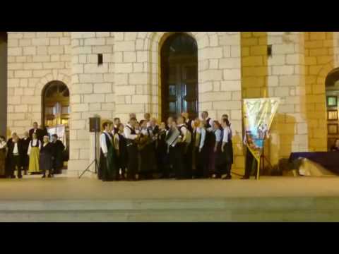 KUD "Sveti Ante Drage" - Golube, golube pitomi