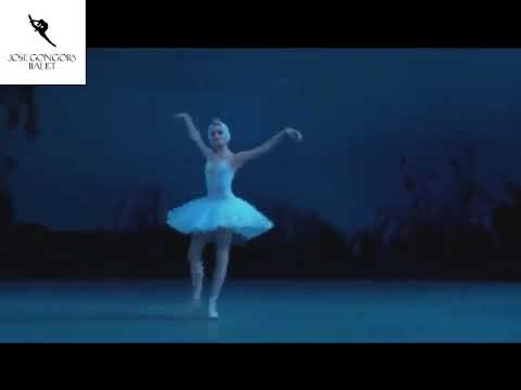 Uliana Lopatkina Odette Variation   Swan Lake
