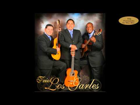 Los Garles - Nuevos Embajadores - Mosaico Bailable