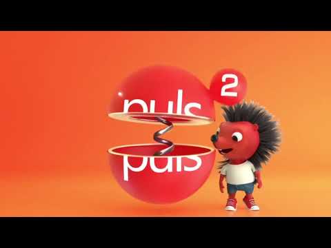 Puls 2 - Oprawa graficzna (2018-2024)