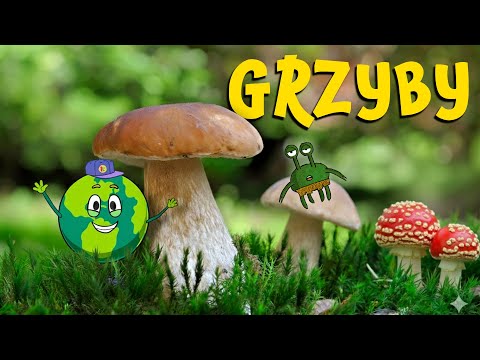 GRZYBY dla Dzieci 🌲 Jak odróżnić MUCHOMORA? 🤫 Odkrywamy Tajemnice Lasu! | Naukowa Karuzela