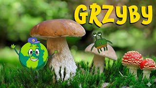 GRZYBY dla Dzieci 🌲 Jak odróżnić MUCHOMORA? 🤫 Odkrywamy Tajemnice Lasu! | Naukowa Karuzela