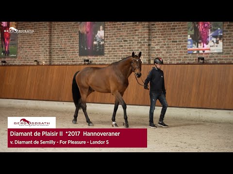 Diamant de Plaisir II *2017 by Diamant de Semilly x For Pleasure | Sosath Stallion Show 2023