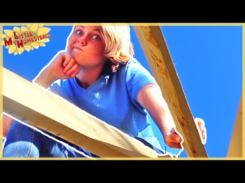 Reciprocal Roof Frame Construction Complete! | Shae's Earthbag Bedroom | Weekly Peek Ep111