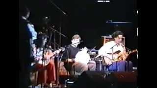 Ry Cooder &amp; David Lindley Goodnight Irene