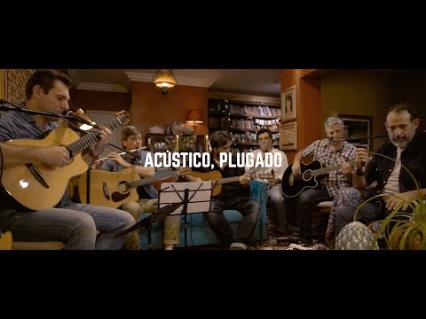 Pot Pourri - O Dia da Vitoria | Refugio - Tigres [de Bengala]