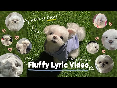 Video thumbnail for Fluffy